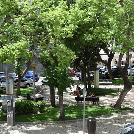 شقة Casa Jardim - City Center By Hd